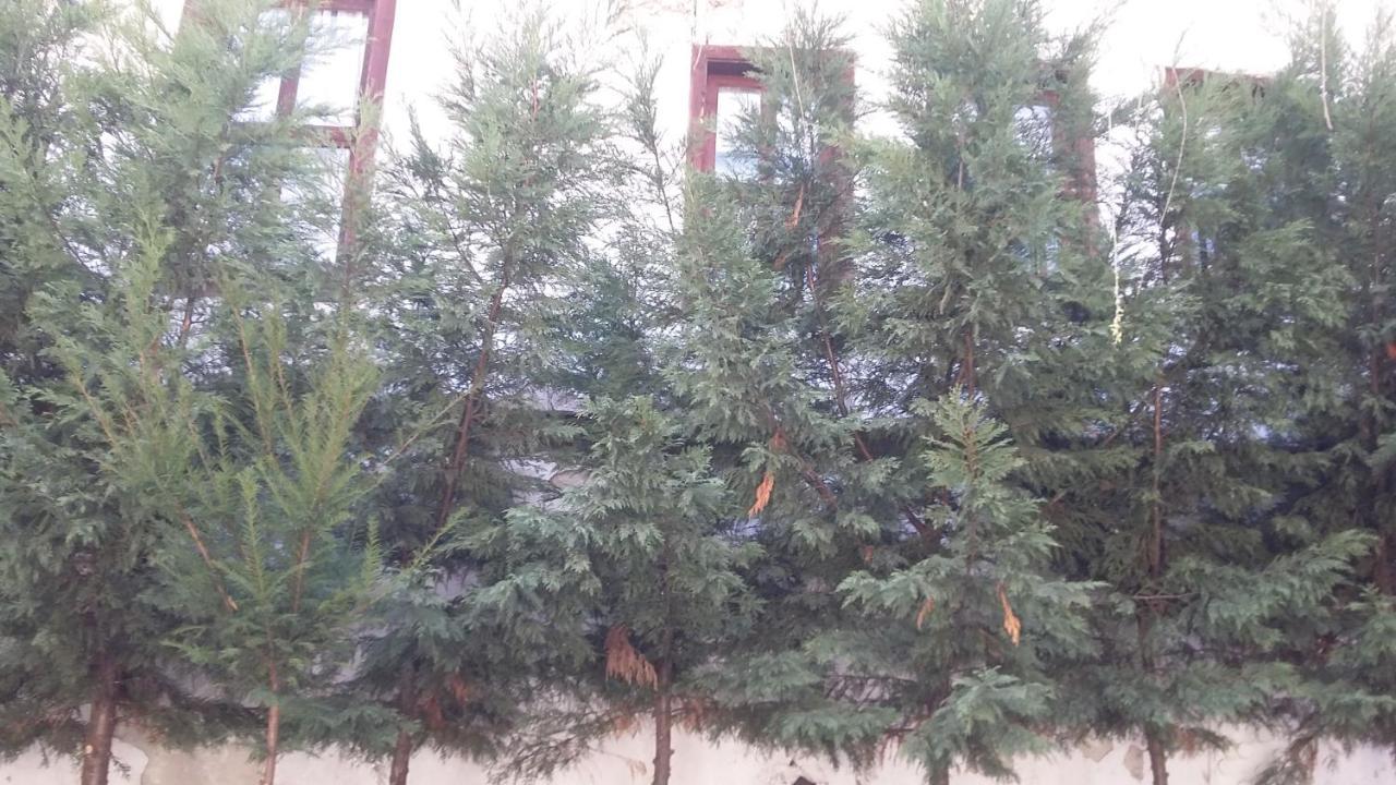 Nimet Hanim Konagi Safranbolu Exterior foto